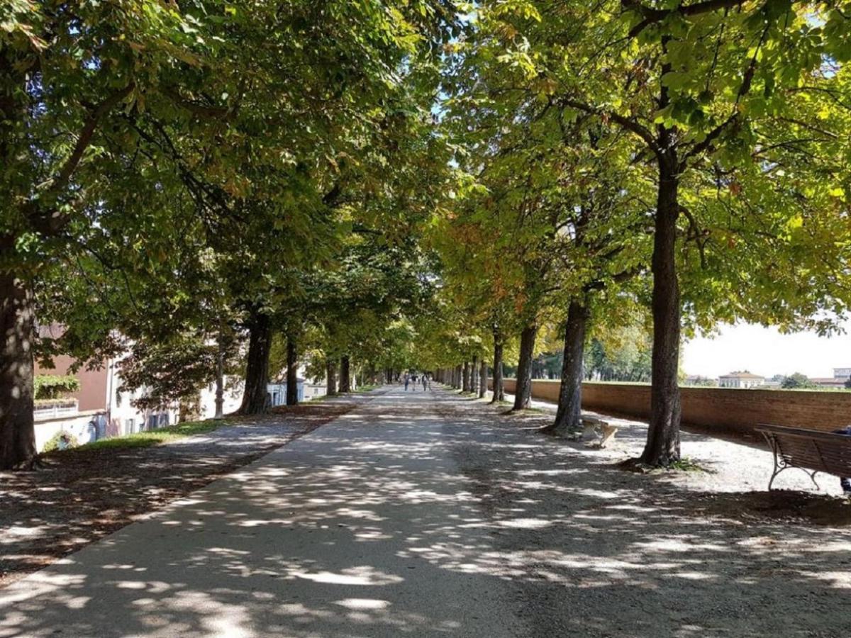 Cozybricks In Lucca - Apartments In Lucca Historical Center - Air Cond & Wifi - Exterior photo